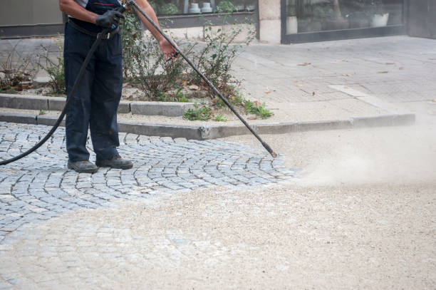 Best Boat and Dock Cleaning  in Naples Manor, FL